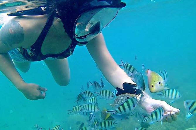 Bintan Snorkeling Tour - Food, drinks, and the simple comforts