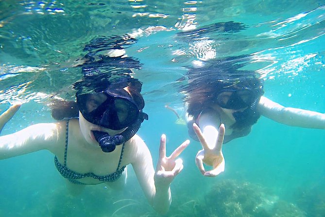 Bintan Snorkeling Tour - Timing, group size, and the private-tour advantage