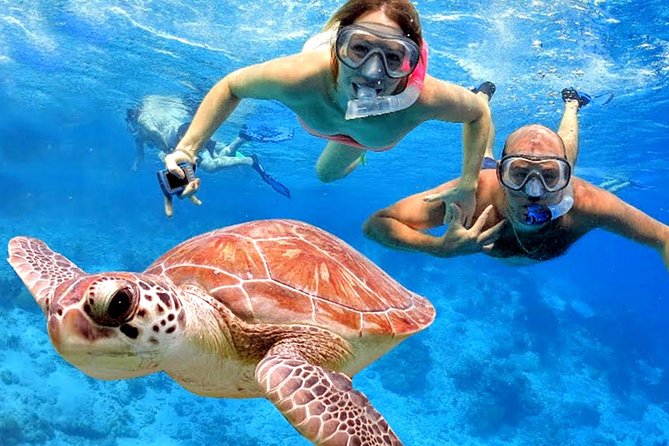 Blow Lagoon Bali Snorkeling and see Bali Bats Cave Temple - Blue Lagoon makes snorkeling easy from south Bali