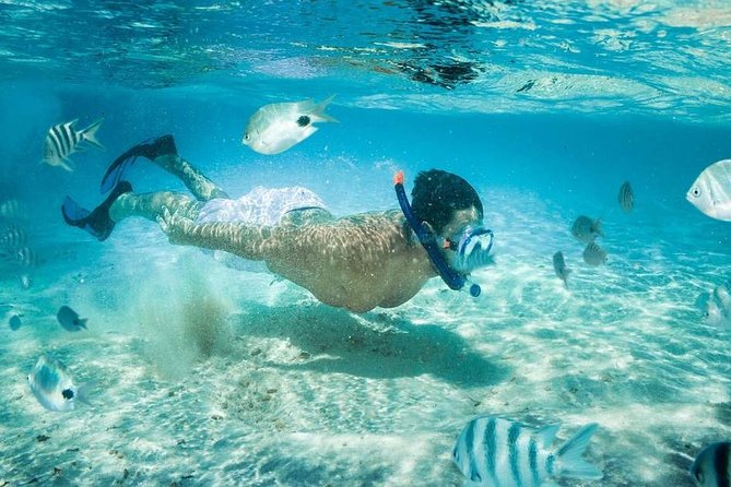 Blow Lagoon Bali Snorkeling and see Bali Bats Cave Temple - What the private format changes