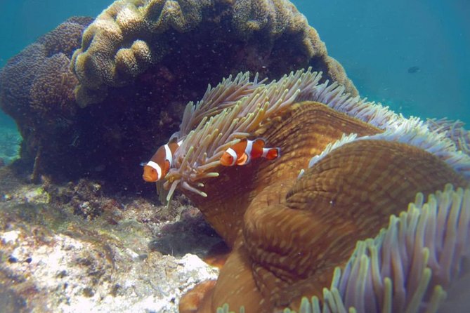 Blue Lagoon Bali Snorkeling Experience - Blue Lagoon: pretty water with changing conditions