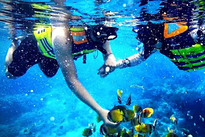 Blue Lagoon Paradise Snorkeling Tour - Key points to know before booking