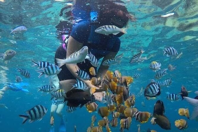 Blue Lagoon Snorkeling and Lunch - Kanto Lampo - Suwat Waterfall - All inclusive - Kanto Lampo Waterfall for photographs