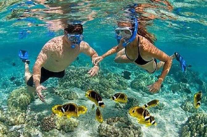 Blue Lagoon Snorkeling and Lunch - Kanto Lampo - Suwat Waterfall - All inclusive - Who will like this tour most