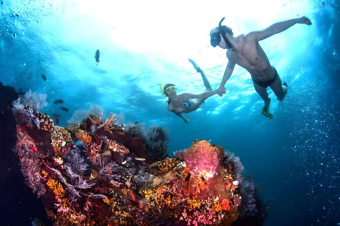 Blue Lagoon Snorkeling - Bali Best Snorkeling Site - From Seminyak to Padangbai: the day starts on the road