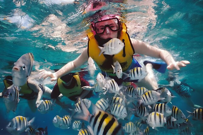 Blue Lagoon Snorkeling - Bali Best Snorkeling Site - A private guide changes the tone of the water time