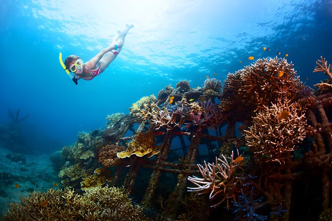 Blue Lagoon Snorkeling - Bali Best Snorkeling Site - Padangbai’s Blue Lagoon is friendly territory for beginners