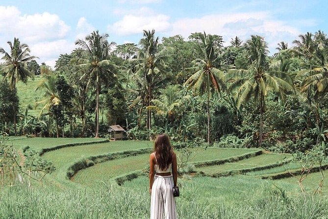Blue Lagoon Snorkeling - Jungle Swing - Ubud - All Inclusive - What the 4.8 rating tells you, and what it does not
