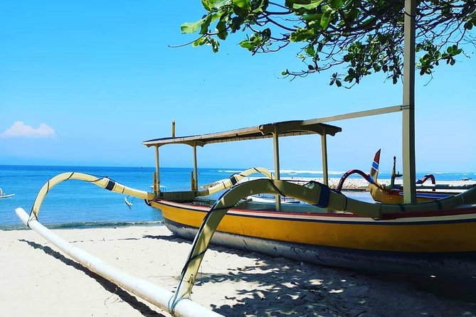 Blue Lagoon Snorkeling - Jungle Swing - Ubud - All Inclusive - Is the $101 price good value?