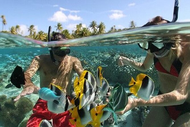 Blue Lagoon Snorkeling - Lunch - Kantolampo - Tibumana Waterfall - Who will enjoy this private tour most