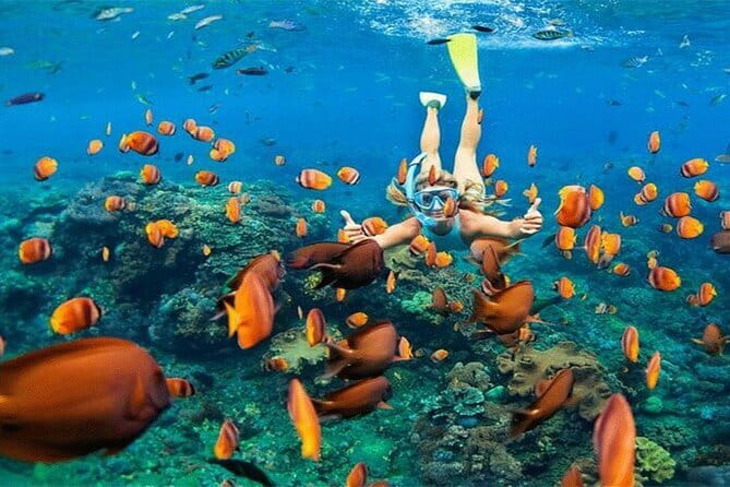 Blue Lagoon Snorkeling with Lunch and Private Transport - What the excellent rating tells you