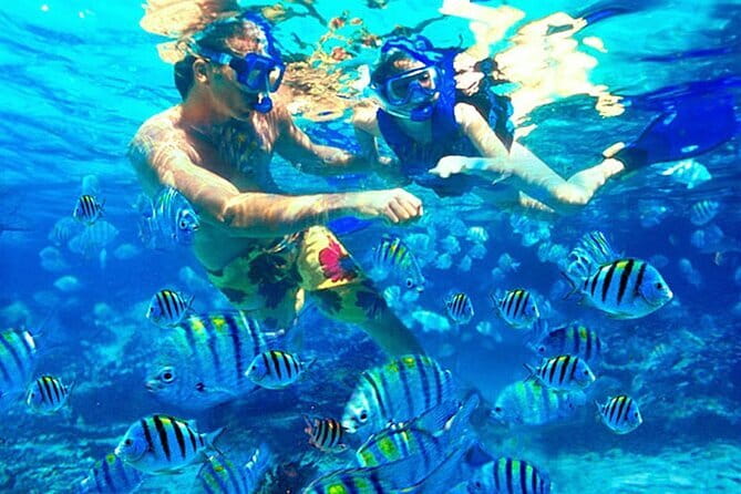 Blue Lagoon Snorkeling with Lunch and Waterfall in Ubud - What this $50 private day actually gives you