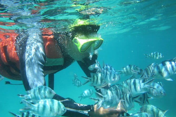 Blue Lagoon Snorkeling with Lunch and Waterfall in Ubud - Tegenungan Waterfall brings a different side of Bali