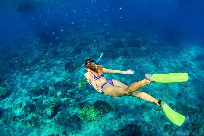 Blue Lagoon Snorkeling with Lunch and Waterfall in Ubud - Who will enjoy this day most