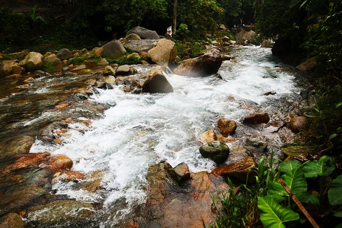Bogor Botanical Garden & Rainforest Trekking to Hidden Waterfall - Guides who add real value