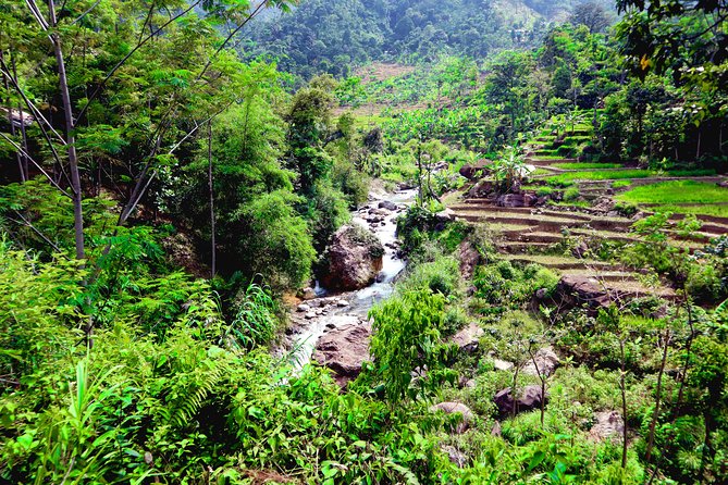 Bogor Botanical Garden & Rainforest Trekking to Hidden Waterfall - What to pack for comfort and safety