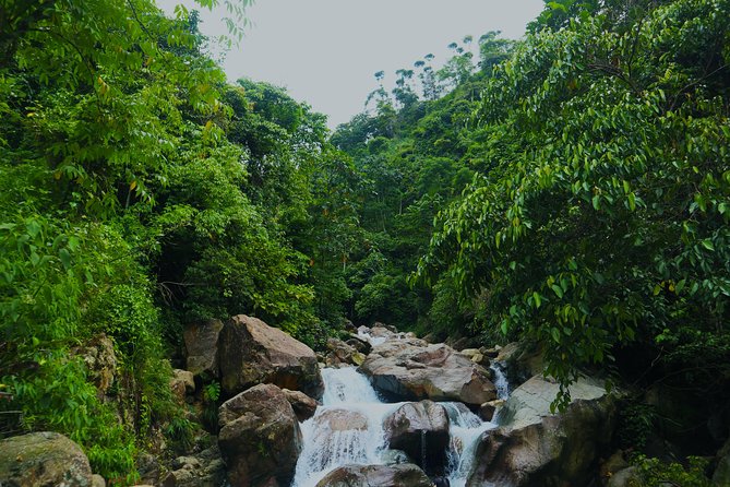 Bogor Botanical Garden & Rainforest Trekking to Hidden Waterfall - Bogor Botanical Garden, founded in 1817