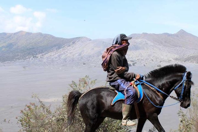 Bromo panorama tour to avoid the crowds - start Malang // 1 day tour - Key points to know before booking