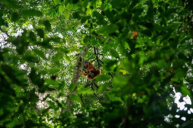 Bukit Lawang Berastagi 4 Days 3 Nights Volcano & Jungle Trekking - What to pack for this exact itinerary