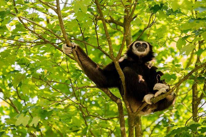 Bukit Lawang Full Day Jungle Trek - Lunch is more useful than it sounds