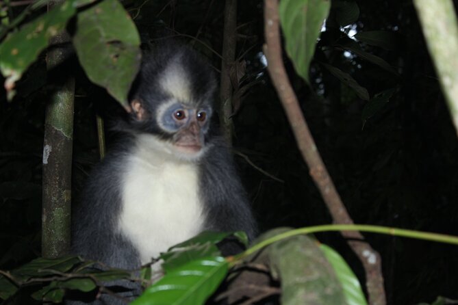 Bukit lawang tour 3days-2 night jungle trekking including rafting - Meeting your guide in Bukit Lawang