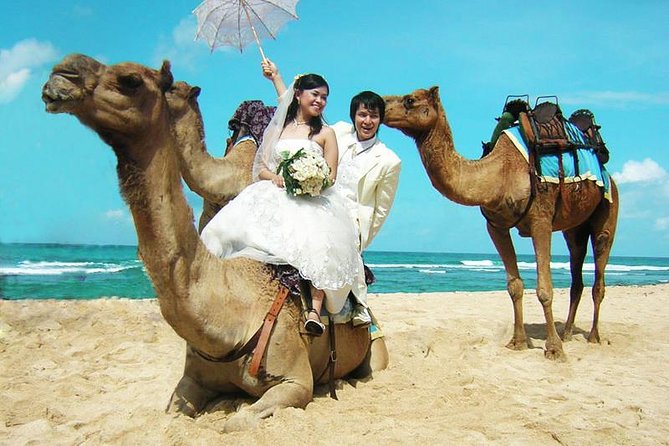 Camel Safari 30 minutes In White Sand Beach - Five things to know before you book