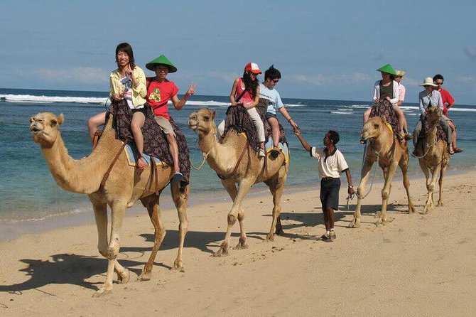 Camel Safari 30 minutes In White Sand Beach - The private format works best for couples and small groups