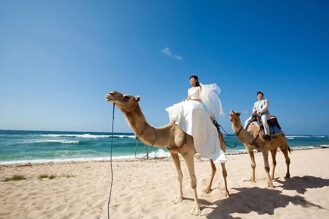 Camel Safari 30 minutes In White Sand Beach - Is $85 a fair price?