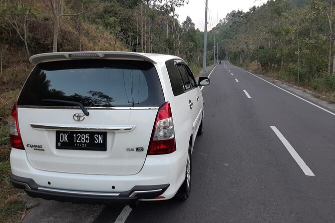 Candidasa Private Car with English Speaking Driver - Sacred Monkey Forest: beautiful, lively, and worth attention