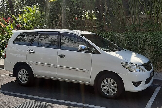 Candidasa Private Car with English Speaking Driver - Tegalalang Rice Terrace and the swing question