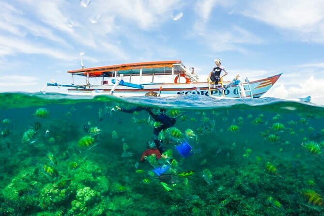 Car Hire in Lombok (Include Driver, Car, & Fuel) - Who should book this Lombok driver service?