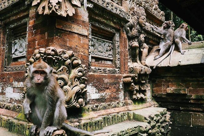 Charter Standard Vehicle with Driver at Bali- 5 Hours Usage - Building your own five-hour itinerary