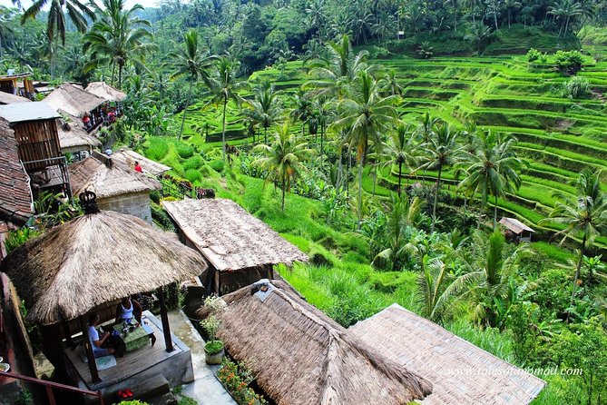 Charter Standard Vehicle with Driver at Bali- 5 Hours Usage - What five hours really gives you