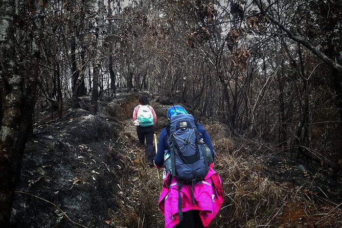 Conquer Mount Rinjani Second Summit: A 2-Day, Lombok-Indonesia - Local Meals and Camp Comfort