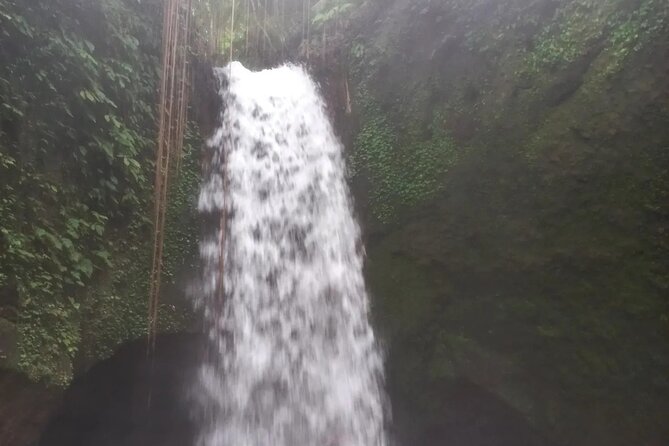 CRETYA Ubud infinity Pool + Hidden Water fall + Water Temple Tour - Mas Carving Center: a short look at local craft
