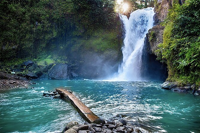 Customizable full-day tour of Bali with private driver - The $18 price can be a bargain, with conditions