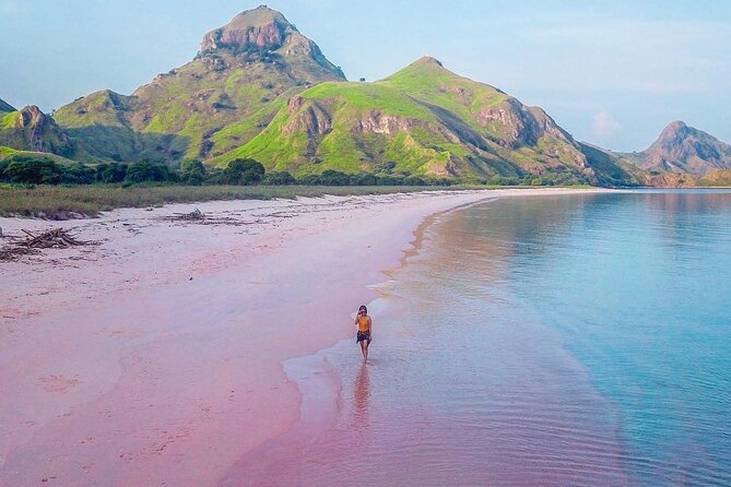 Daily Trip Highlight Komodo Archipelago by Speed Boat - Why this Komodo day trip attracts so much interest
