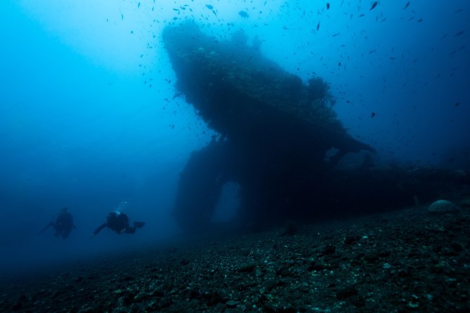 Day Trip certified divers - 3 Dives in Tulamben (pick-up & drop-off included) - Arrival at Dive Concepts Tulamben
