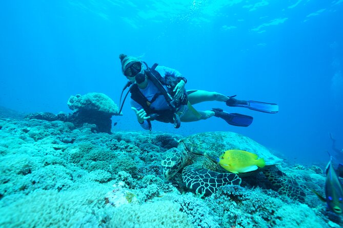 Day Trip Discover Scuba dive in Nusa Penida 2 dives (From Sanur - South Bali) - Key points at a glance