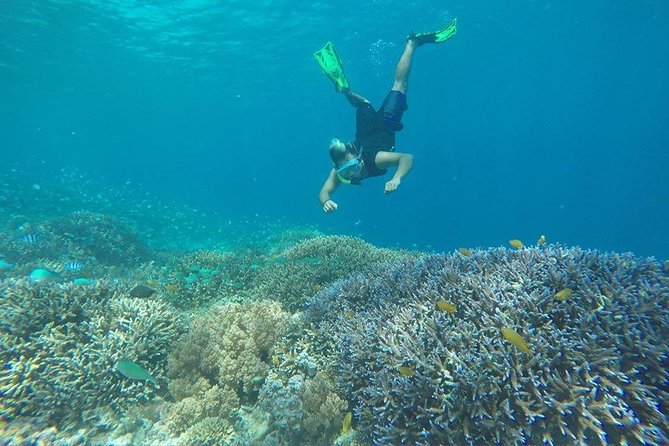 Day Trip Gili Trawangan, Gili Meno, Gili Air (Depart Lombok) - Malimbu Hill and the ride home