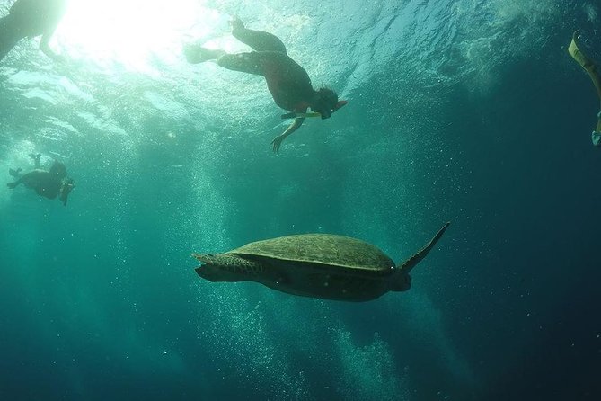 Day Trip Gili Trawangan, Gili Meno, Gili Air (Depart Lombok) - Is $97 a fair price?