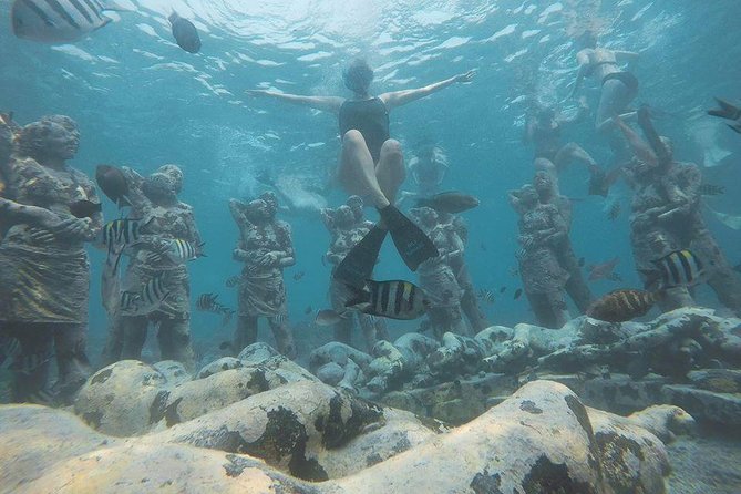 Day Trip Gili Trawangan, Gili Meno, Gili Air (Depart Lombok) - Gili Meno’s turtle sanctuary and coral areas