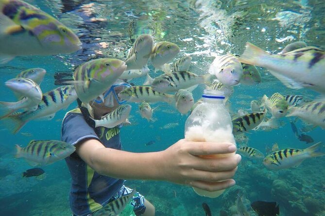 Day Trip: Nusa Penida Snorkling - Why this Nusa Penida day trip works
