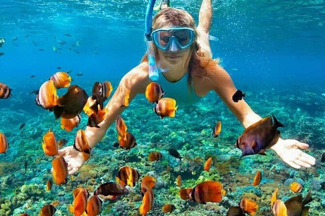 Day Trip: Nusa Penida Snorkling - Three hours at Manta Point, Crystal Bay, and Gamat Bay