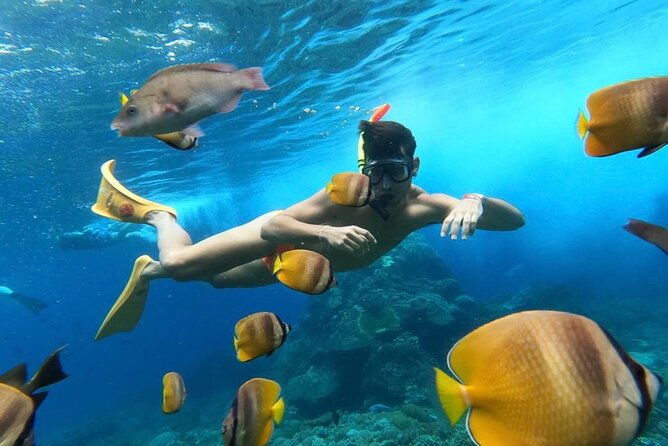 Day Trip: Nusa Penida Snorkling - Getting from Seminyak to the island