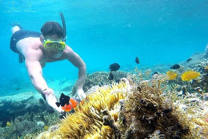 Day Trip Secret Island West Of Lombok - Key Points at a Glance