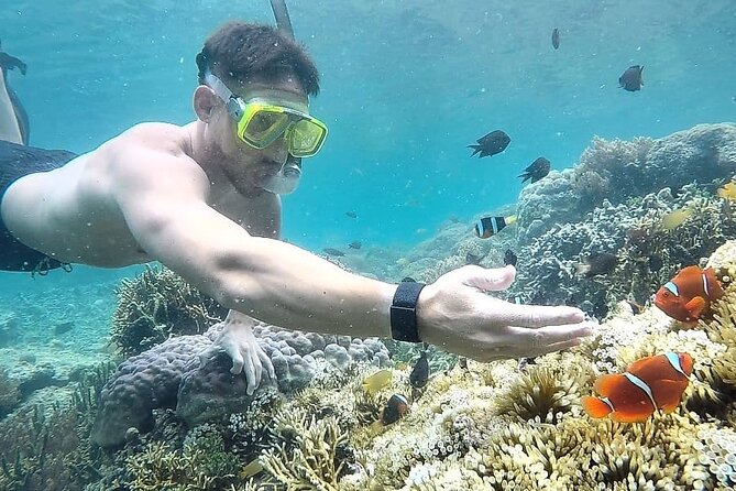 Day Trip Secret Island West Of Lombok - Greenish Water and Coral at Gili Asahan