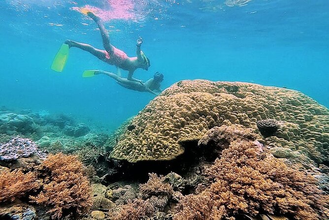 Day Trip Secret Island West Of Lombok - How the Four-Stop Schedule Really Works