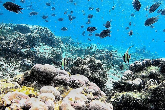 Day Trip Secret Island West Of Lombok - What the Private Group Price Buys You