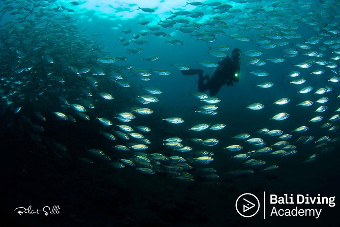 Day Trip Snorkeling in Tulamben - Explore Liberty Wreck (pick up in South Bali) - The early departure from South Bali